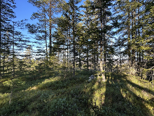 Skonhovdhøgda i Gjøvik
