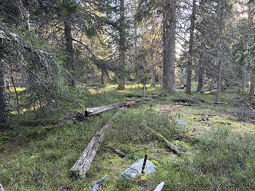 Venholhøgda i Søndre Land
