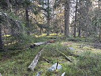 ØyvindBergkvam_20241124_674324874e934.jpg