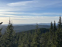 ØyvindBergkvam_20241124_6743248fe20b7.jpg
