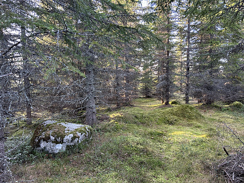 Toppen av Tjernsvehaugen har ingen markering 