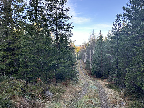 Veien oppover mot hytta nord for Sveltleinåsen