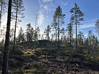 ØyvindBergkvam_20241124_67433dccd57cd.jpg