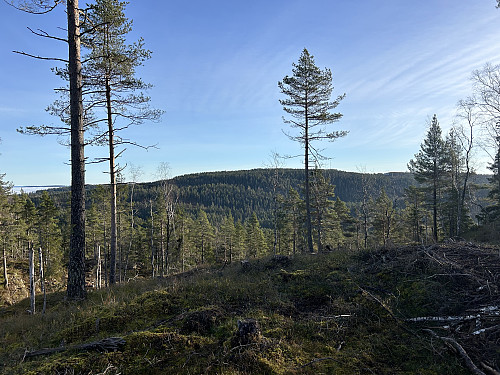 Utsikt over til Storås