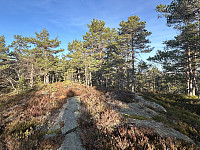 ØyvindBergkvam_20241124_67433de7ee73a.jpg