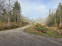 ØyvindBergkvam_20241124_6743417b7a5f5.jpg