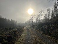 ØyvindBergkvam_20241124_6743417e7759f.jpg