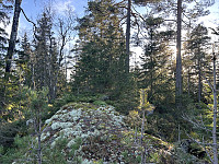 ØyvindBergkvam_20241124_6743418639d3b.jpg