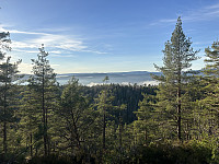 ØyvindBergkvam_20241124_6743418aeae8a.jpg
