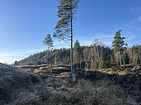 ØyvindBergkvam_20241124_6743418f2b641.jpg