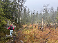 ØyvindBergkvam_20241124_674355139b20b.jpg