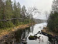ØyvindBergkvam_20241124_6743551af1542.jpg