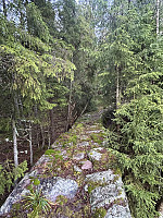 ØyvindBergkvam_20241124_67435521b5d37.jpg