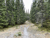 ØyvindBergkvam_20241124_67435896a217c.jpg