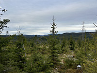 ØyvindBergkvam_20241124_6743589b754e0.jpg