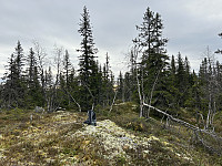ØyvindBergkvam_20241124_674358a8b2549.jpg