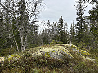 ØyvindBergkvam_20241124_674358b0978b8.jpg