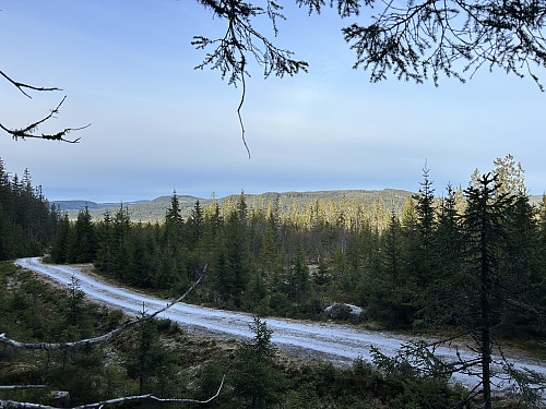 Den fineste utsikten fikk jeg akkurat da jeg startet å gå opp fra veien hvor jeg hadde parkert sykkelen