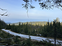 ØyvindBergkvam_20241124_67437061c9662.jpg