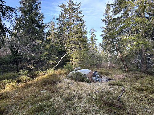 Gullenhaugen i Gran