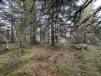 ØyvindBergkvam_20241124_674370760f521.jpg