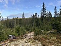 ØyvindBergkvam_20241124_67437423a29e3.jpg
