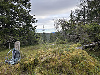 ØyvindBergkvam_20241124_6743742995c79.jpg