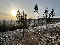 ØyvindBergkvam_20241126_6745cb27f1a17.jpg
