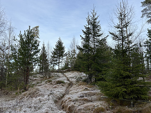 Like oppunder toppen på Hovelsåsberget