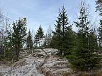 ØyvindBergkvam_20241126_6745cb322814a.jpg
