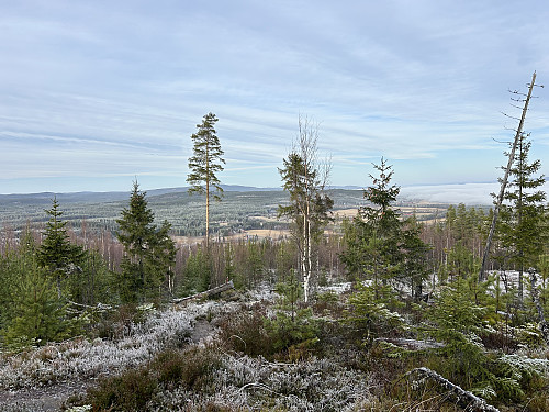 Utsikt nordover fra Hovelsåsberget