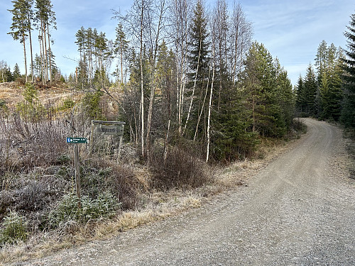 Til høyre her