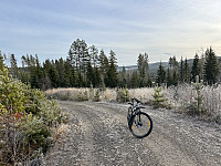 ØyvindBergkvam_20241126_6745d87e4aacc.jpg