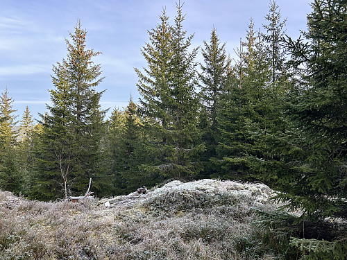 Skjesæterberget i Stange