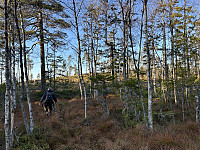 ØyvindBergkvam_20241126_6745dbfee6dbf.jpg