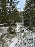 ØyvindBergkvam_20241126_6745ea9d94c59.jpg