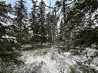 ØyvindBergkvam_20241126_6745eab3095d2.jpg