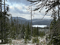 ØyvindBergkvam_20241126_6745eab8e63fa.jpg