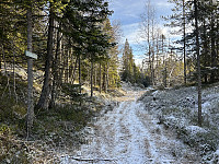 ØyvindBergkvam_20241126_6745eac23835f.jpg