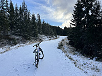 ØyvindBergkvam_20241126_6745eaccc222b.jpg