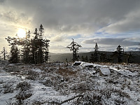 ØyvindBergkvam_20241126_6745ead307a57.jpg