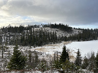 ØyvindBergkvam_20241126_6745eade9c05c.jpg