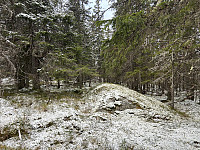 ØyvindBergkvam_20241126_6745eae51e2d5.jpg