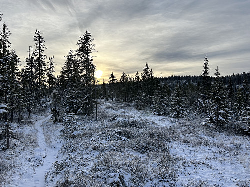 Skreifjellet bak til venstre sett fra stien