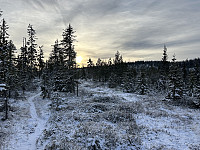 ØyvindBergkvam_20241126_6745f4e460e66.jpg