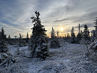 ØyvindBergkvam_20241126_6745f4e693c80.jpg