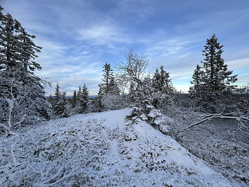 Trolig toppen av Skreifjellet