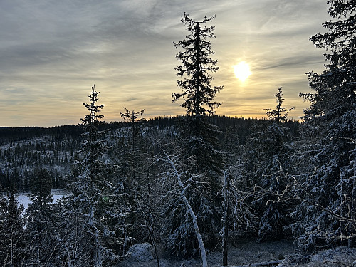 Tilbakeblikk mot Skreifjellet fra stigningen opp mot Oftentjernshøgda