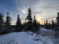 ØyvindBergkvam_20241126_6745f4f5ed894.jpg