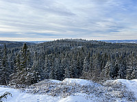 ØyvindBergkvam_20241126_6745f50fd9664.jpg